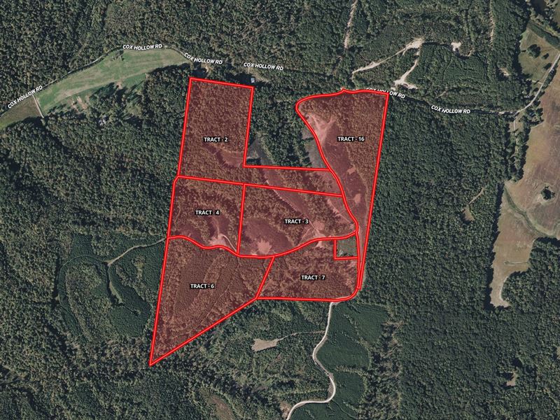 Hunting, Recreational, Development : Dover : Stewart County : Tennessee
