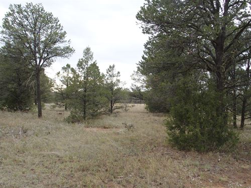 5.08 Acre in Cibola County, NM : El Morro : Cibola County : New Mexico