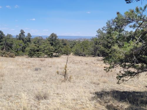 3.01 Acre in Cibola County, NM : Candy Kitchen : Cibola County : New Mexico