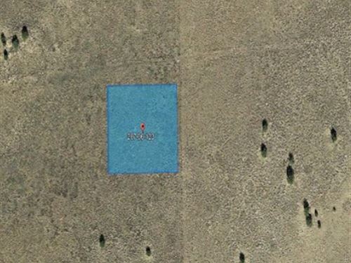 Land of Peace : Sanders : Apache County : Arizona