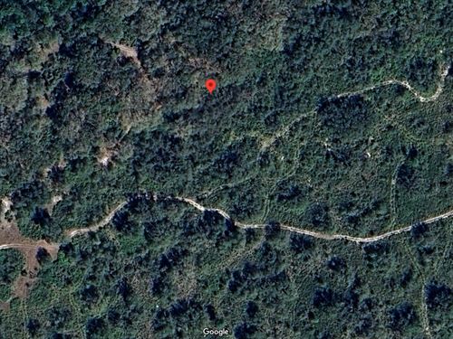 Hunting Access Lot : Frostproof : Polk County : Florida