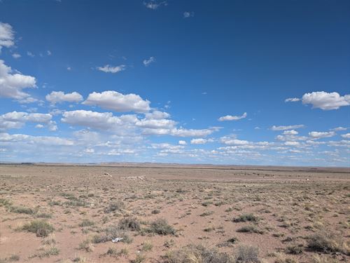 1.25 Acre Navajo Oasis : Sun Valley : Navajo County : Arizona