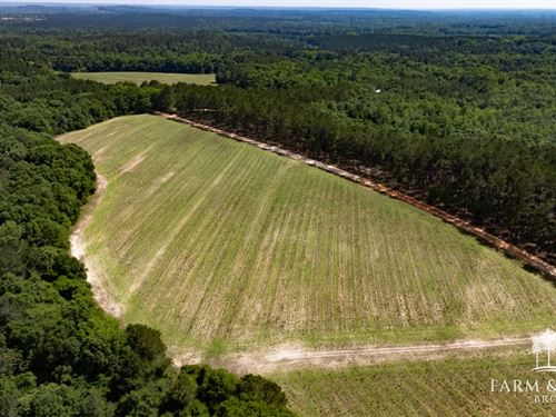 12 Ac CR 218 Mini-Farm, Coffee : Jack : Coffee County : Alabama