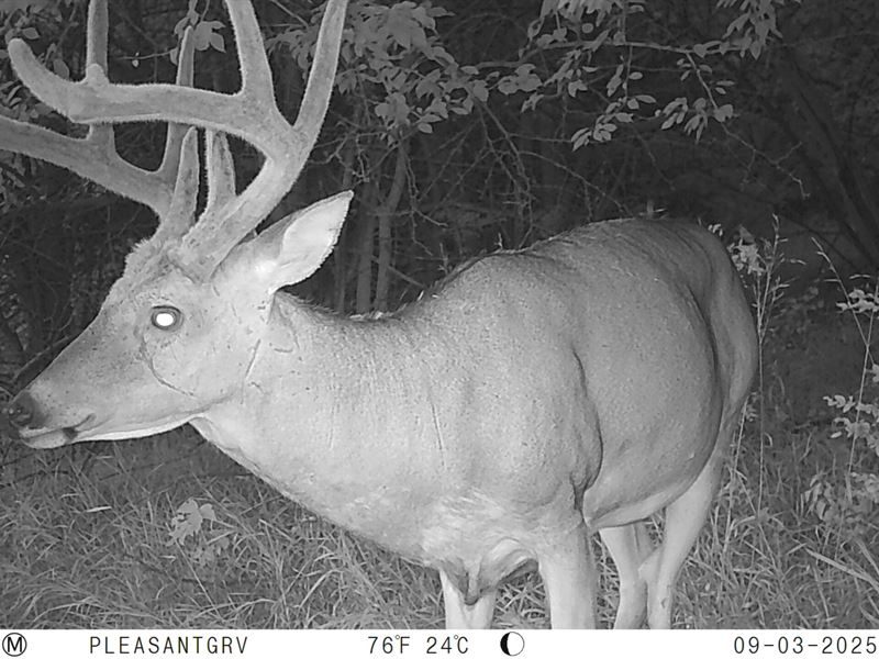 Pleasant Grove Homestead : Baldwin City : Douglas County : Kansas