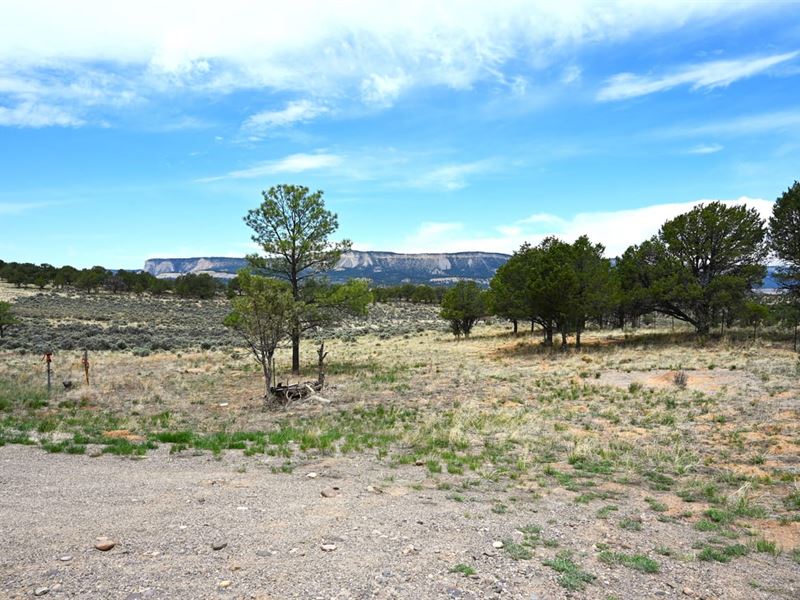 D Log Home : Tierra Amarilla : Rio Arriba County : New Mexico