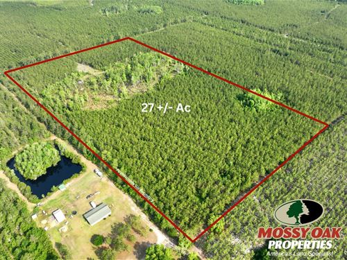 27 Ac Recreational Timberland : Folkston : Charlton County : Georgia