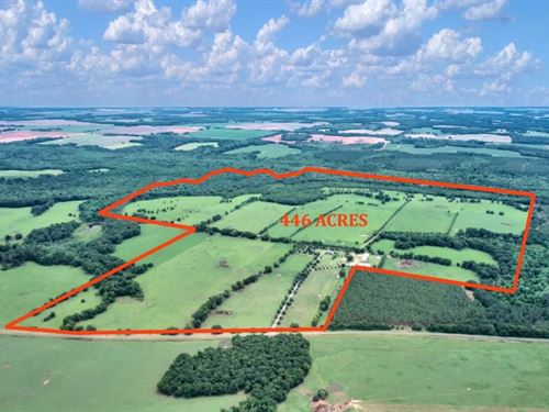 Magnolia Ranch : Edison : Calhoun County : Georgia