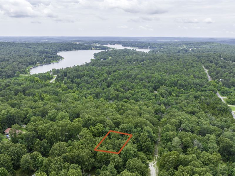 Fairy Tale Wooded Lane : Horseshoe Bend : Izard County : Arkansas