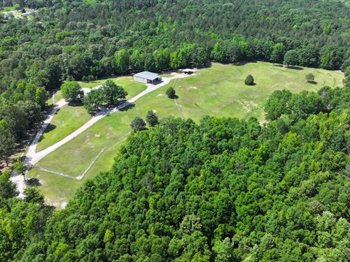 Sisk Estate, 67+ Acres in Shorter : Shorter : Macon County : Alabama