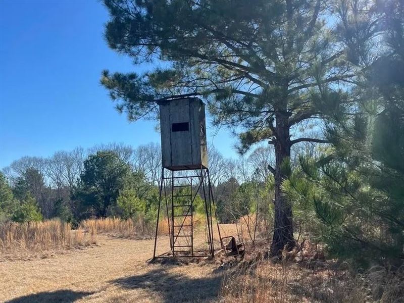 Great Homesite and Hunting Tract : Hermanville : Copiah County : Mississippi