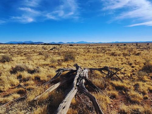 Secluded, and Ready to Build $125/M : Williams : Coconino County : Arizona
