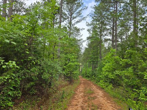 Dudleyville Tract 1 : Dadeville : Tallapoosa County : Alabama
