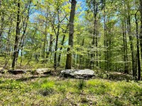 Reduced 5808 Hensley Road : Lula : Hall County : Georgia