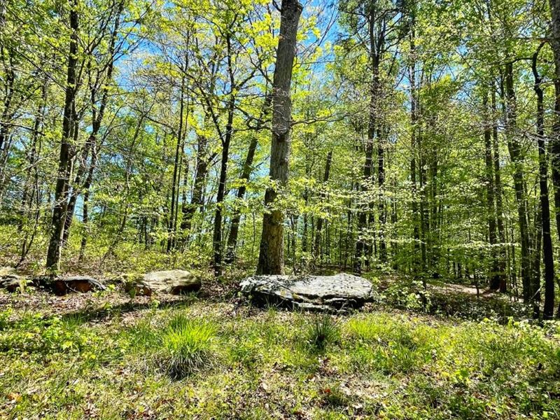 5808 Hensley Road : Lula : Hall County : Georgia