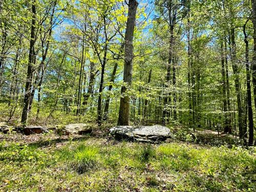 Reduced 5808 Hensley Road : Lula : Hall County : Georgia