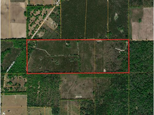 Hamilton County 120 : Jasper : Hamilton County : Florida