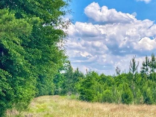 Highway 49 S : Americus : Sumter County : Georgia