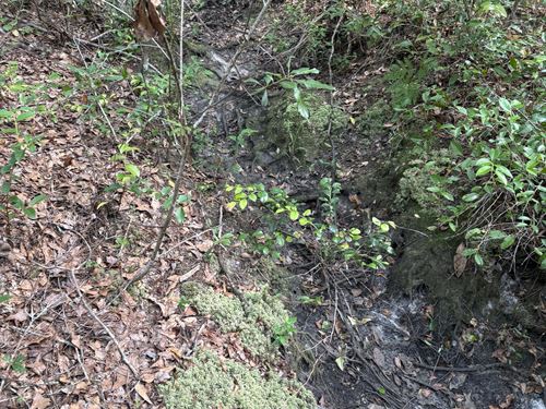 Columbia County Hunting and Rec : Lake City : Columbia County : Florida