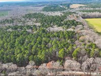 Wooded Acreage Bordered By Creek : Pittsboro : Chatham County : North Carolina