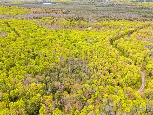 Heart Lake Acreage : Marenisco : Gogebic County : Michigan