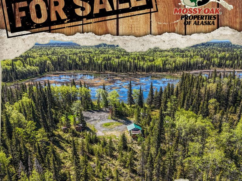 23650 Lost st Kasilof : Kasilof : Kenai Peninsula Borough : Alaska