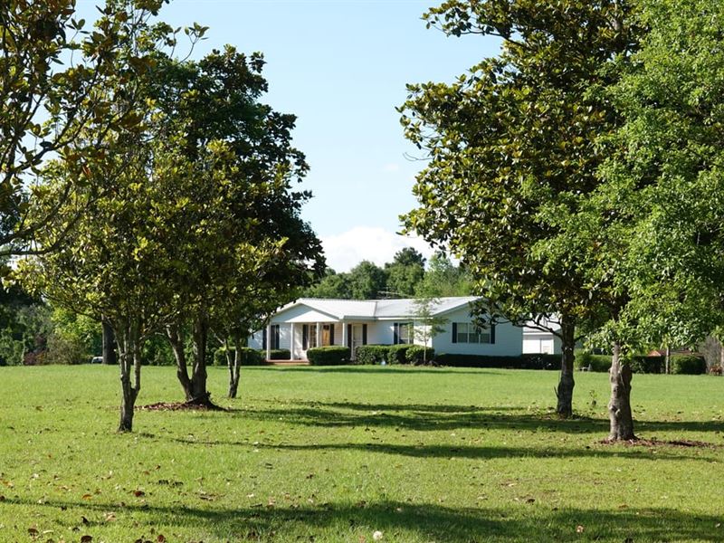 4087 NW Honey Lake Rd : Greenville : Madison County : Florida