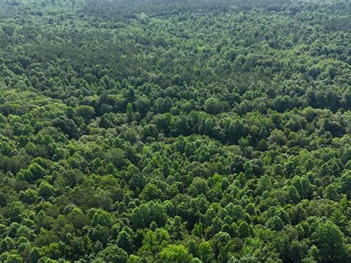 18.14 Acres in Fulton, Mississippi : Fulton : Itawamba County : Mississippi