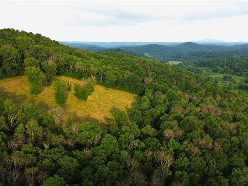 Johnson Hollow, Watertown, TN : Watertown : Wilson County : Tennessee