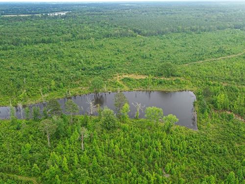 Chickasaw County rd 166 : Houston : Chickasaw County : Mississippi