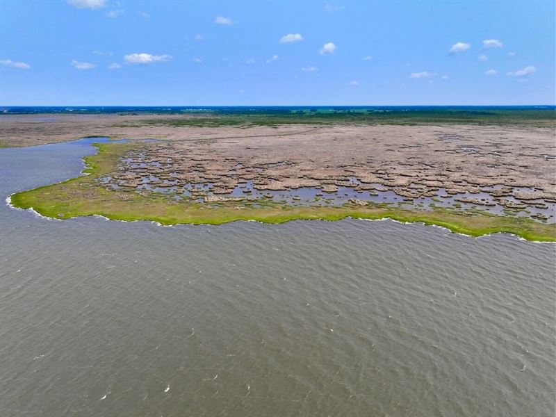 90 Acres of Waterfront Recreational : Swan Quarter : Hyde County : North Carolina