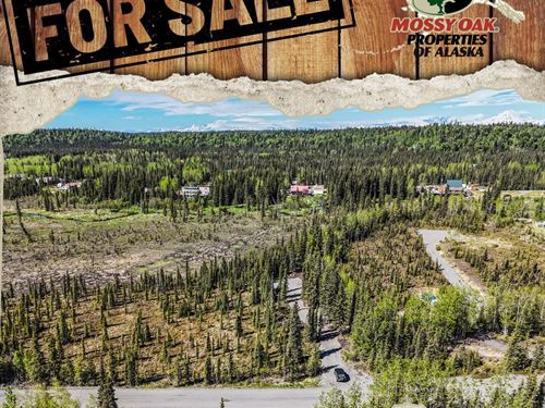 Kasilof Fish Camp : Kasilof : Kenai Peninsula Borough : Alaska