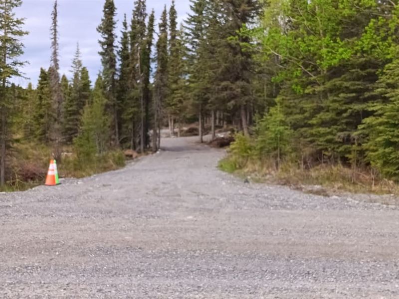 Kasilof Fish Camp : Kasilof : Kenai Peninsula Borough : Alaska