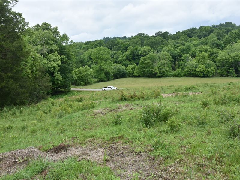 Bridgeport Road : Edmonton : Metcalfe County : Kentucky