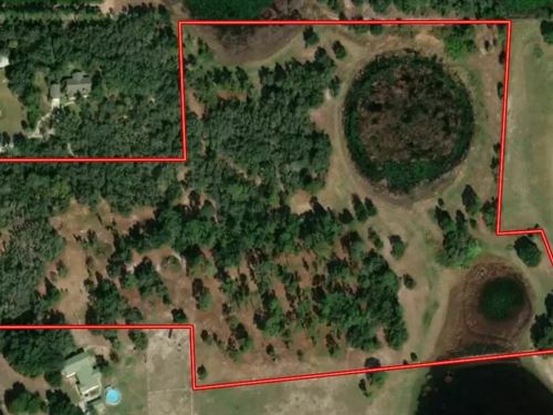 Mammoth Grove Rd, Lake Wales : Lake Wales : Polk County : Florida