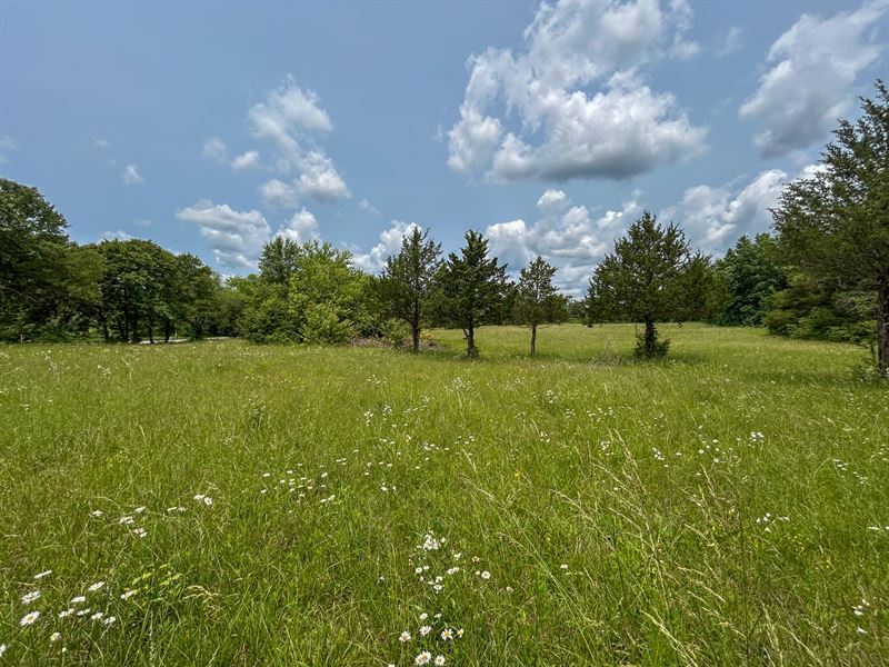 Land for Sale in Missouri : Mountain View : Howell County : Missouri