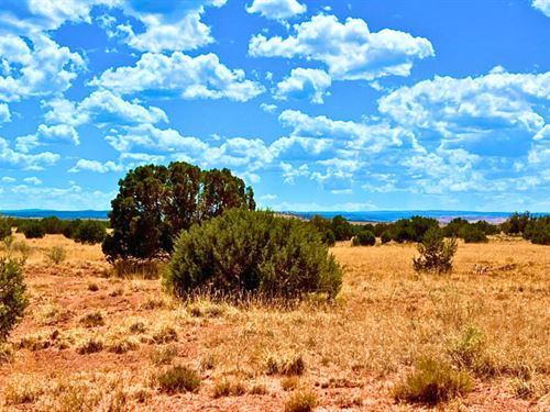 Power Close with Trees $125-$250/Mo : Snowflake : Navajo County : Arizona