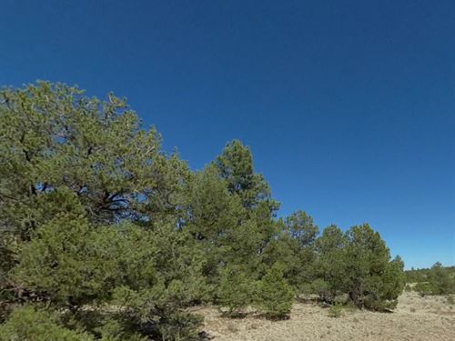 .25 Acre in Cibola County, NM : Grants : Cibola County : New Mexico