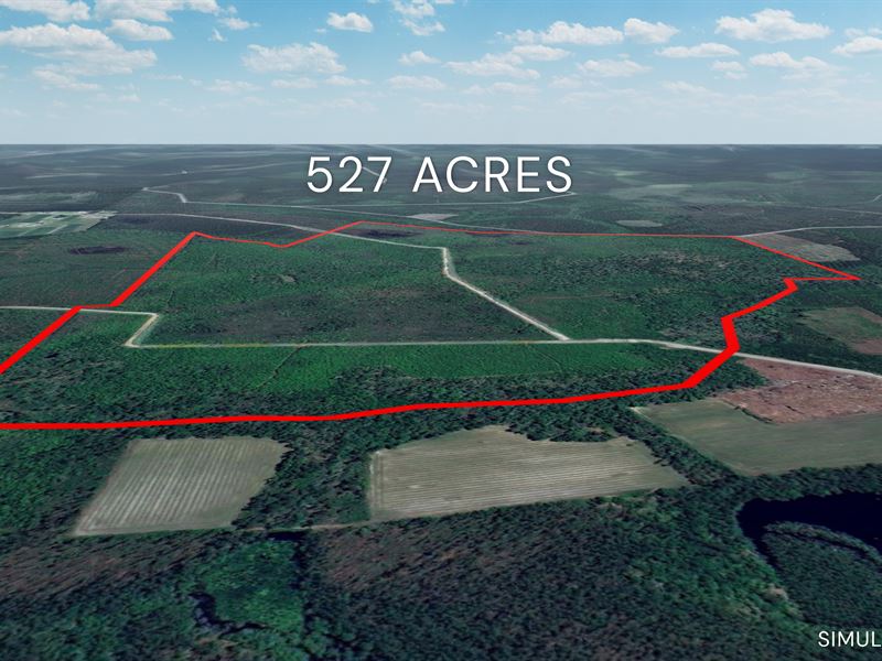 527 +/- Ac, Collins Rd, Nicholls GA : Nicholls : Ware County : Georgia