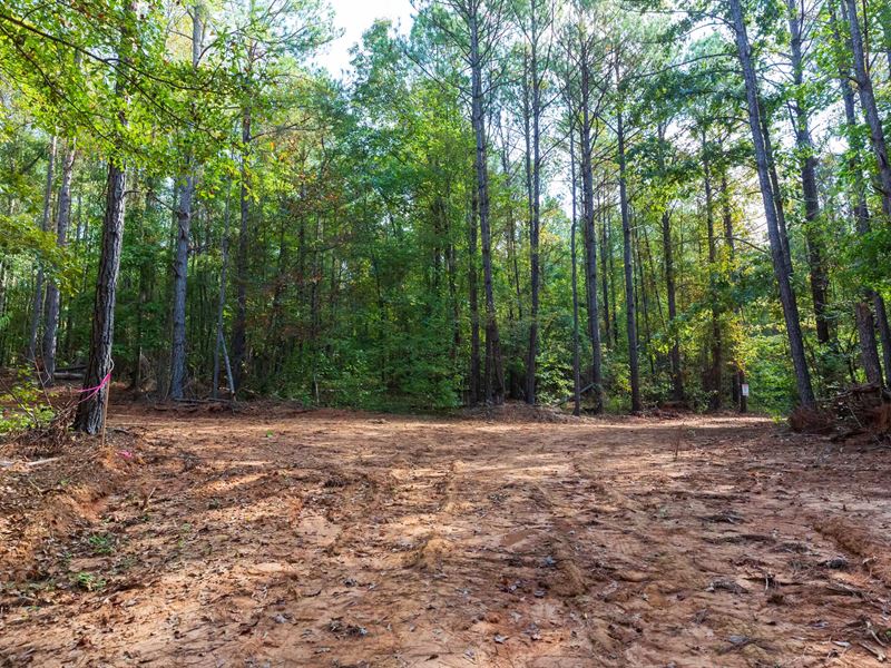 $999 Down Land with Electricity : Sulligent : Lamar County : Alabama