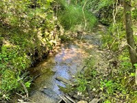 7.8 Acres, Tract 1 On Cl : Honea Path : Abbeville County : South Carolina