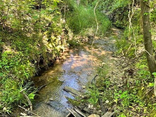 7.8 Acres, Tract 1 on Clatwort : Honea Path : Abbeville County : South Carolina