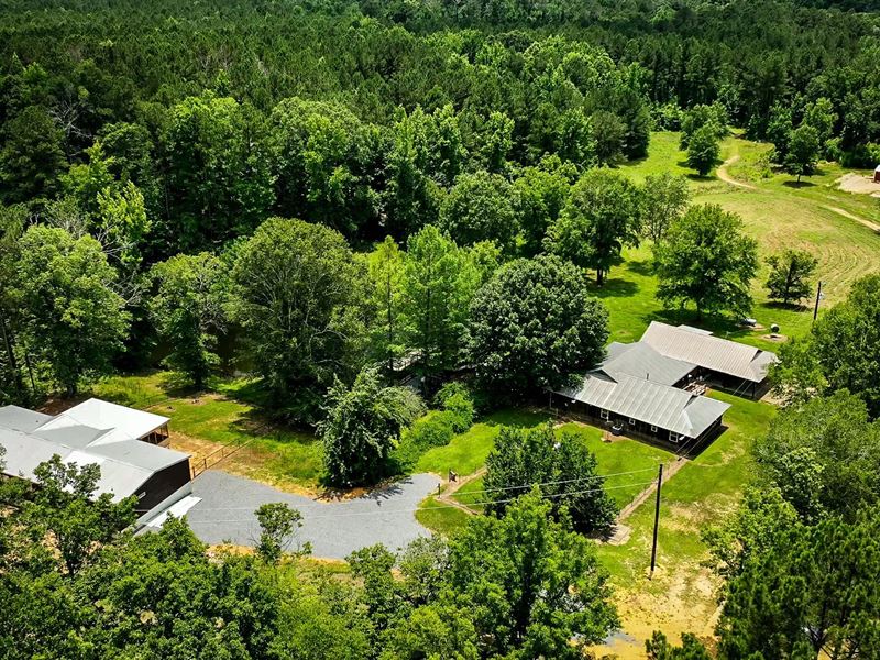 Rustic Cabin and Doublewide Overloo : McCall : Franklin County : Mississippi