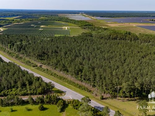 56 Ac Walton Co, Caney Creek Tr : Defuniak Springs : Walton County : Florida