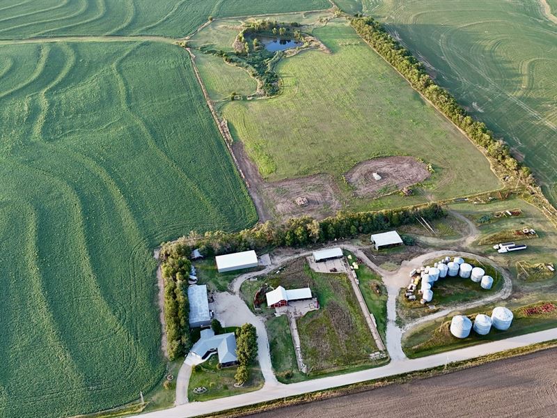 Bathurst Pasture : Abilene : Dickinson County : Kansas