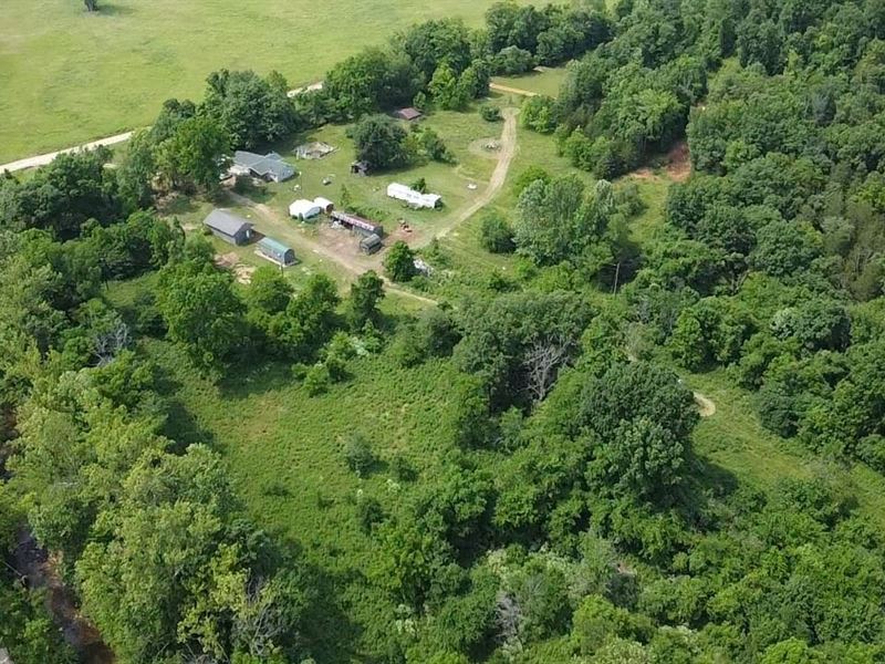 4 Bed, 2 Bath Home on 33 Acres : Piedmont : Wayne County : Missouri