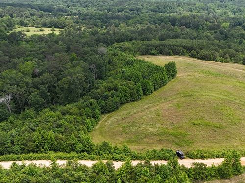 25 Ac. Mini Farm Collinsville, AL : Collinsville : Dekalb County : Alabama