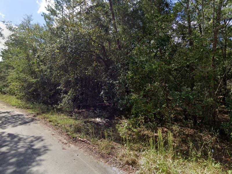 Residential Lot in Lake View Manor : Fort Mc Coy : Marion County : Florida