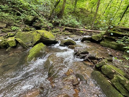 92.9 Surveyed Acres Pasture, Pine : Clinton : Van Buren County : Arkansas