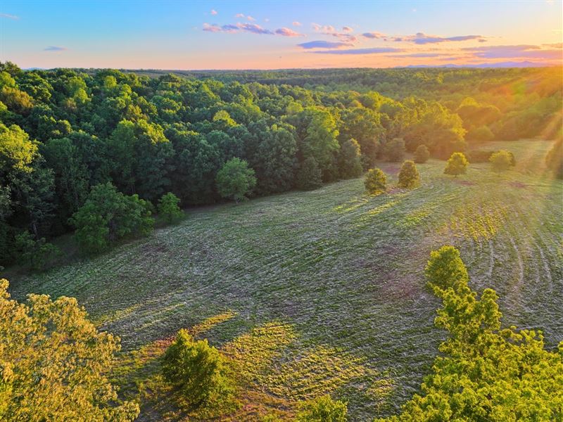 25.99 Acres of Creekfront Beauty : Scottsville : Buckingham County : Virginia