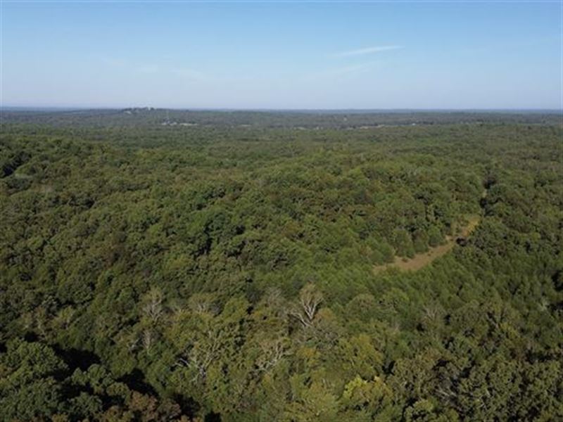 Your Own Piece of The Woods : Horseshoe Bend : Izard County : Arkansas
